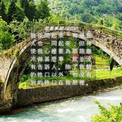 Picture 04 - 尼 希 米 記 2:12 CUVT - 我 夜 間 起 來 ， 有 幾 個 人 也 一 - Bible Verse Picture