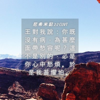 Picture 04 - 尼 希 米 記 2:2 CUVT - 王 對 我 說 ： 你 既 沒 有 病 ， 為 - Bible Verse Picture