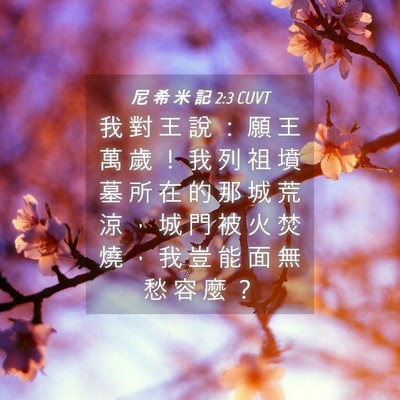 Picture 04 - 尼 希 米 記 2:3 CUVT - 我 對 王 說 ： 願 王 萬 歲 ！ 我 列 - Bible Verse Picture