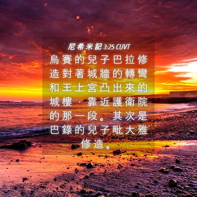 Picture 04 - 尼 希 米 記 3:25 CUVT - 烏 賽 的 兒 子 巴 拉 修 造 對 著 城 - Bible Verse Picture