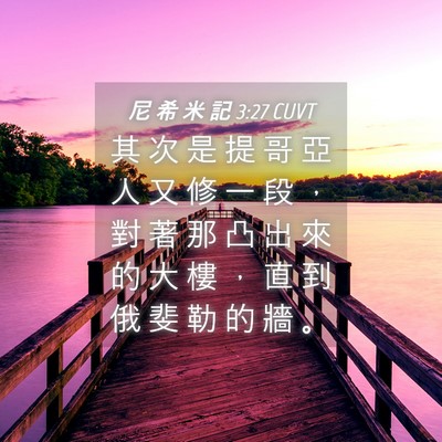 Picture 04 - 尼 希 米 記 3:27 CUVT - 其 次 是 提 哥 亞 人 又 修 一 段 ， - Bible Verse Picture