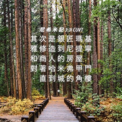 Picture 04 - 尼 希 米 記 3:31 CUVT - 其 次 是 銀 匠 瑪 基 雅 修 造 到 尼 - Bible Verse Picture