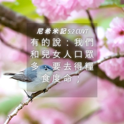 Picture 04 - 尼 希 米 記 5:2 CUVT - 有 的 說 ： 我 們 和 兒 女 人 口 眾 - Bible Verse Picture