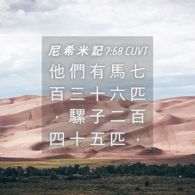 Picture 04 - 尼 希 米 記 7:68 CUVT - 他 們 有 馬 七 百 三 十 六 匹 ， 騾 - Bible Verse Picture