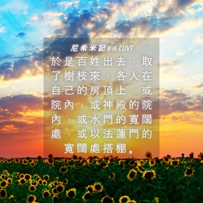 Picture 04 - 尼 希 米 記 8:16 CUVT - 於 是 百 姓 出 去 ， 取 了 樹 枝 來 - Bible Verse Picture