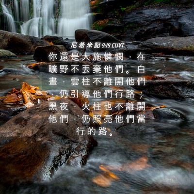 Picture 04 - 尼 希 米 記 9:19 CUVT - 你 還 是 大 施 憐 憫 ， 在 曠 野 不 - Bible Verse Picture