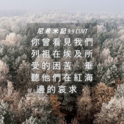 Picture 04 - 尼 希 米 記 9:9 CUVT - 你 曾 看 見 我 們 列 祖 在 埃 及 所 - Bible Verse Picture