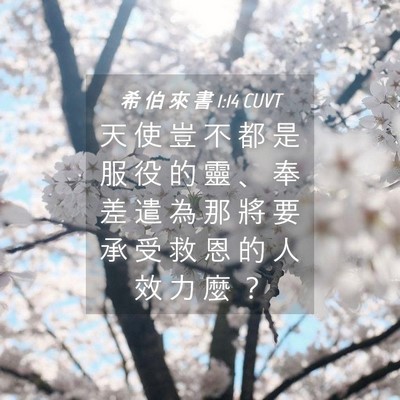 Picture 04 - 希 伯 來 書 1:14 CUVT - 天 使 豈 不 都 是 服 役 的 靈 、 奉 - Bible Verse Picture