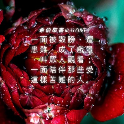 Picture 04 - 希 伯 來 書 10:33 CUVT - 一 面 被 毀 謗 ， 遭 患 難 ， 成 了 - Bible Verse Picture