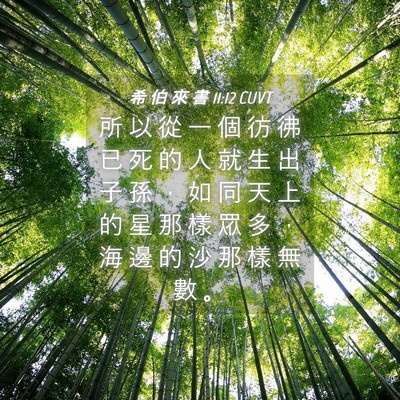 Picture 04 - 希 伯 來 書 11:12 CUVT - 所 以 從 一 個 彷 彿 已 死 的 人 就 - Bible Verse Picture