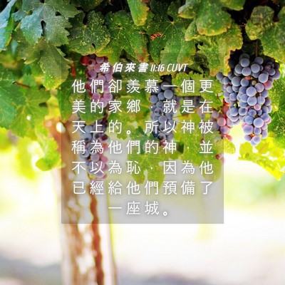 Picture 04 - 希 伯 來 書 11:16 CUVT - 他 們 卻 羨 慕 一 個 更 美 的 家 鄉 - Bible Verse Picture