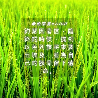 Picture 04 - 希 伯 來 書 11:22 CUVT - 約 瑟 因 著 信 ， 臨 終 的 時 候 ， - Bible Verse Picture