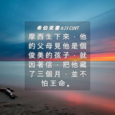 Picture 04 - 希 伯 來 書 11:23 CUVT - 摩 西 生 下 來 ， 他 的 父 母 見 他 - Bible Verse Picture