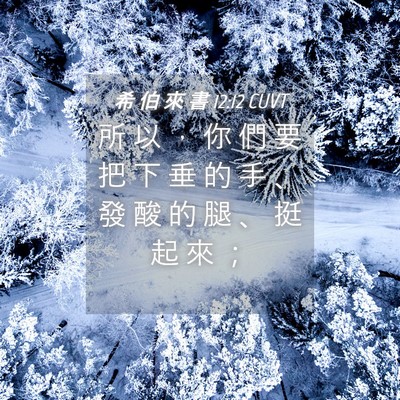 Picture 04 - 希 伯 來 書 12:12 CUVT - 所 以 ， 你 們 要 把 下 垂 的 手 、 - Bible Verse Picture