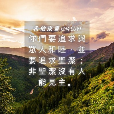 Picture 04 - 希 伯 來 書 12:14 CUVT - 你 們 要 追 求 與 眾 人 和 睦 ， 並 - Bible Verse Picture