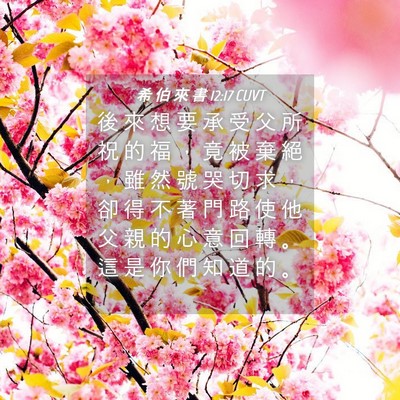 Picture 04 - 希 伯 來 書 12:17 CUVT - 後 來 想 要 承 受 父 所 祝 的 福 ， - Bible Verse Picture