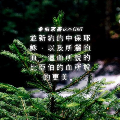 Picture 04 - 希 伯 來 書 12:24 CUVT - 並 新 約 的 中 保 耶 穌 ， 以 及 所 - Bible Verse Picture