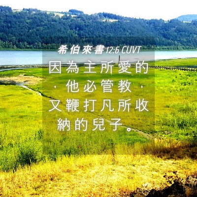 Picture 04 - 希 伯 來 書 12:6 CUVT - 因 為 主 所 愛 的 ， 他 必 管 教 ， - Bible Verse Picture