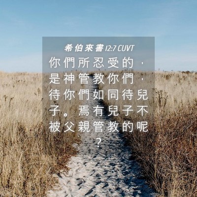 Picture 04 - 希 伯 來 書 12:7 CUVT - 你 們 所 忍 受 的 ， 是 神 管 教 你 - Bible Verse Picture