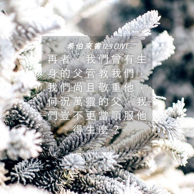 Picture 04 - 希 伯 來 書 12:9 CUVT - 再 者 ， 我 們 曾 有 生 身 的 父 管 - Bible Verse Picture