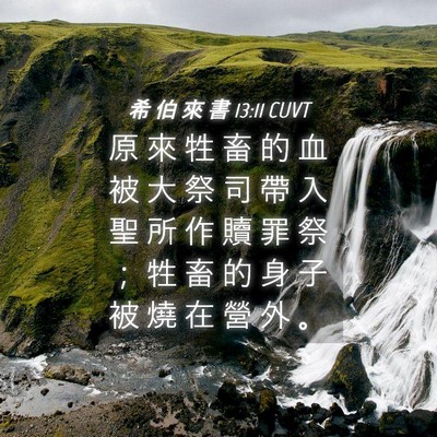 Picture 04 - 希 伯 來 書 13:11 CUVT - 原 來 牲 畜 的 血 被 大 祭 司 帶 入 - Bible Verse Picture