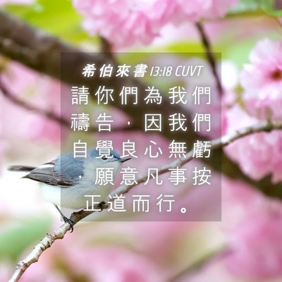Picture 04 - 希 伯 來 書 13:18 CUVT - 請 你 們 為 我 們 禱 告 ， 因 我 們 - Bible Verse Picture