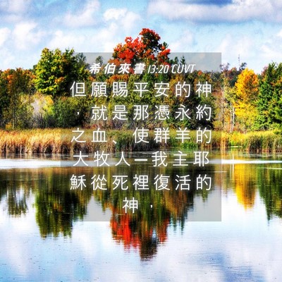 Picture 04 - 希 伯 來 書 13:20 CUVT - 但 願 賜 平 安 的 神 ， 就 是 那 憑 - Bible Verse Picture