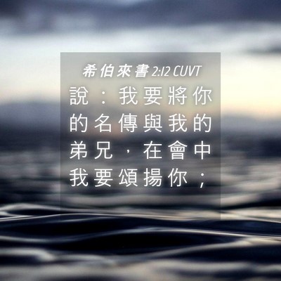 Picture 04 - 希 伯 來 書 2:12 CUVT - 說 ： 我 要 將 你 的 名 傳 與 我 的 - Bible Verse Picture
