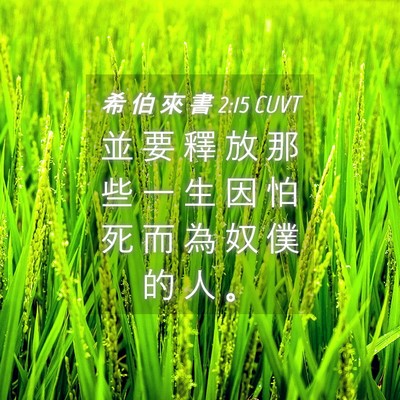 Picture 04 - 希 伯 來 書 2:15 CUVT - 並 要 釋 放 那 些 一 生 因 怕 死 而 - Bible Verse Picture