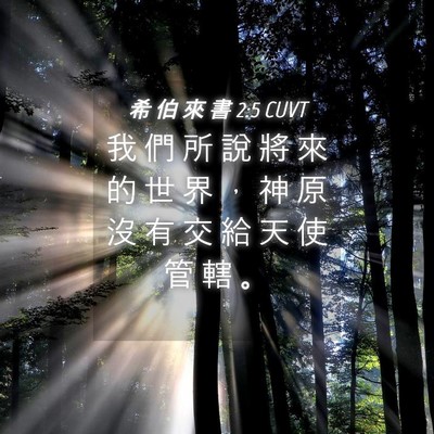 Picture 04 - 希 伯 來 書 2:5 CUVT - 我 們 所 說 將 來 的 世 界 ， 神 原 - Bible Verse Picture