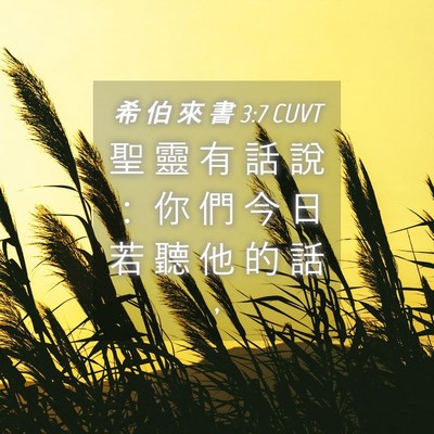 Picture 04 - 希 伯 來 書 3:7 CUVT - 聖 靈 有 話 說 ： 你 們 今 日 若 聽 - Bible Verse Picture