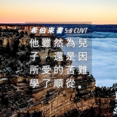 Picture 04 - 希 伯 來 書 5:8 CUVT - 他 雖 然 為 兒 子 ， 還 是 因 所 受 - Bible Verse Picture