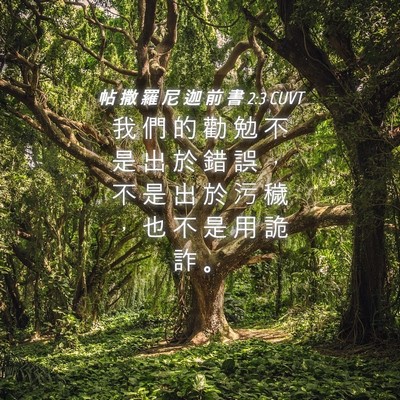 Picture 04 - 帖 撒 羅 尼 迦 前 書 2:3 CUVT - 我 們 的 勸 勉 不 是 出 於 錯 誤 ， - Bible Verse Picture