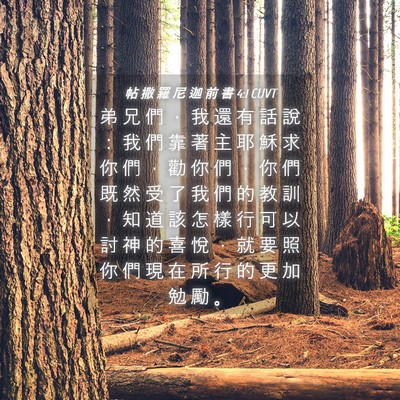 Picture 04 - 帖 撒 羅 尼 迦 前 書 4:1 CUVT - 弟 兄 們 ， 我 還 有 話 說 ： 我 們 - Bible Verse Picture