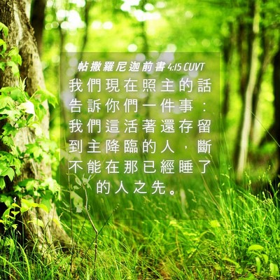Picture 04 - 帖 撒 羅 尼 迦 前 書 4:15 CUVT - 我 們 現 在 照 主 的 話 告 訴 你 們 - Bible Verse Picture