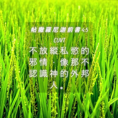 Picture 04 - 帖 撒 羅 尼 迦 前 書 4:5 CUVT - 不 放 縱 私 慾 的 邪 情 ， 像 那 不 - Bible Verse Picture