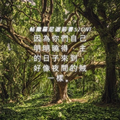 Picture 04 - 帖 撒 羅 尼 迦 前 書 5:2 CUVT - 因 為 你 們 自 己 明 明 曉 得 ， 主 - Bible Verse Picture