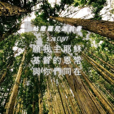 Picture 04 - 帖 撒 羅 尼 迦 前 書 5:28 CUVT - 願 我 主 耶 穌 基 督 的 恩 常 與 你 - Bible Verse Picture