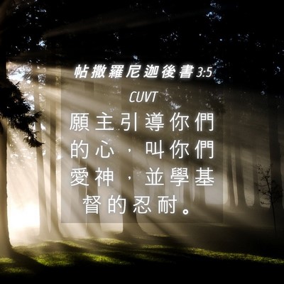 Picture 04 - 帖 撒 羅 尼 迦 後 書 3:5 CUVT - 願 主 引 導 你 們 的 心 ， 叫 你 們 - Bible Verse Picture