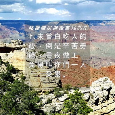 Picture 04 - 帖 撒 羅 尼 迦 後 書 3:8 CUVT - 也 未 嘗 白 吃 人 的 飯 ， 倒 是 辛 - Bible Verse Picture