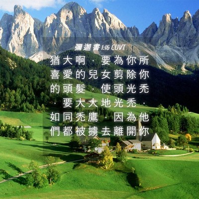 Picture 04 - 彌 迦 書 1:16 CUVT - 猶 大 啊 ， 要 為 你 所 喜 愛 的 兒 - Bible Verse Picture