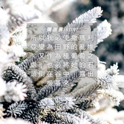 Picture 04 - 彌 迦 書 1:6 CUVT - 所 以 我 必 使 撒 瑪 利 亞 變 為 田 - Bible Verse Picture