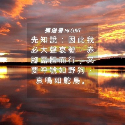 Picture 04 - 彌 迦 書 1:8 CUVT - 先 知 說 ： 因 此 我 必 大 聲 哀 號 - Bible Verse Picture