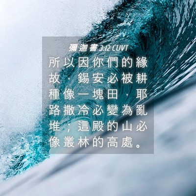 Picture 04 - 彌 迦 書 3:12 CUVT - 所 以 因 你 們 的 緣 故 ， 錫 安 必 - Bible Verse Picture