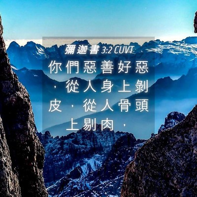 Picture 04 - 彌 迦 書 3:2 CUVT - 你 們 惡 善 好 惡 ， 從 人 身 上 剝 - Bible Verse Picture