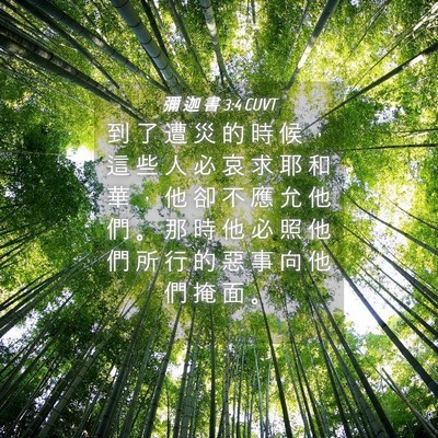 Picture 04 - 彌 迦 書 3:4 CUVT - 到 了 遭 災 的 時 候 ， 這 些 人 必 - Bible Verse Picture