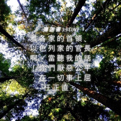 Picture 04 - 彌 迦 書 3:9 CUVT - 雅 各 家 的 首 領 、 以 色 列 家 的 - Bible Verse Picture