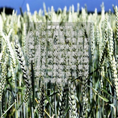 Picture 04 - 彌 迦 書 4:2 CUVT - 必 有 許 多 國 的 民 前 往 ， 說 ： - Bible Verse Picture