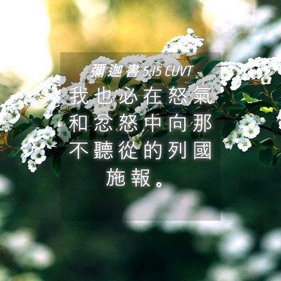 Picture 04 - 彌 迦 書 5:15 CUVT - 我 也 必 在 怒 氣 和 忿 怒 中 向 那 - Bible Verse Picture
