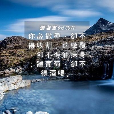 Picture 04 - 彌 迦 書 6:15 CUVT - 你 必 撒 種 ， 卻 不 得 收 割 ； 踹 - Bible Verse Picture